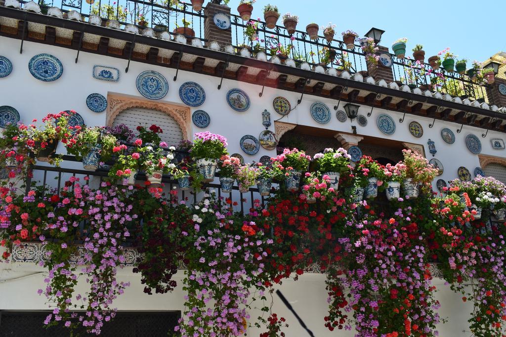 Carmen De Ramilla, Encantadora Guesthouse Con Piscina Soleada Granada Exterior photo