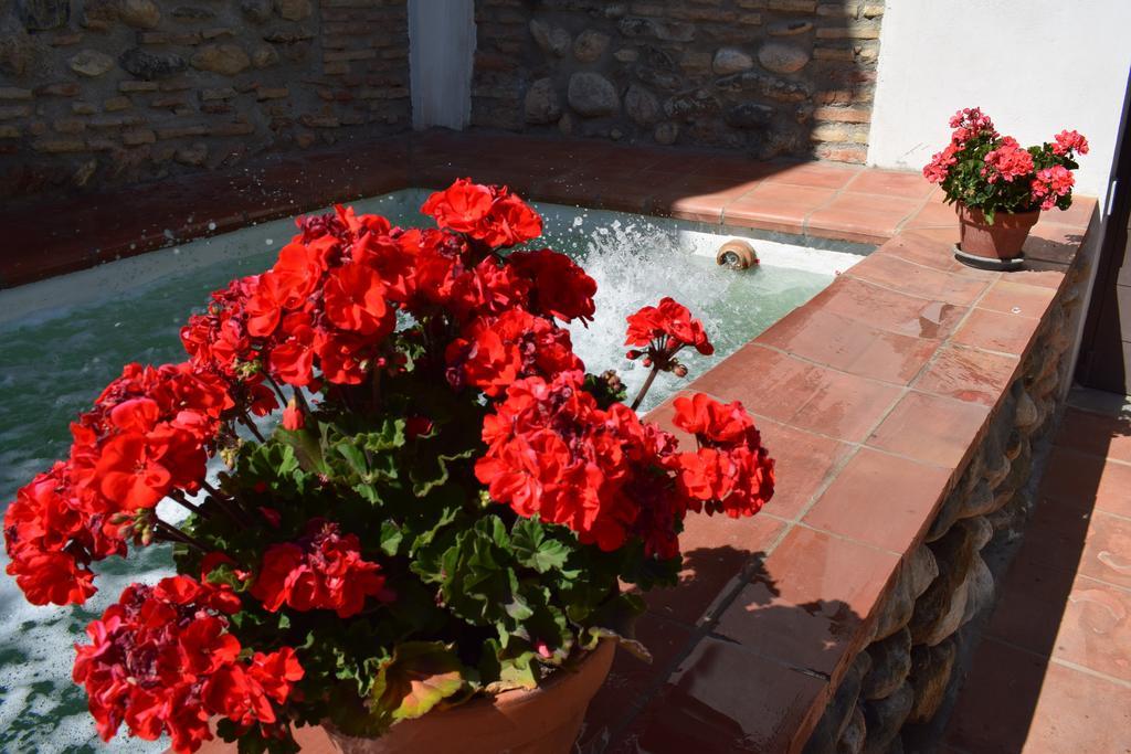 Carmen De Ramilla, Encantadora Guesthouse Con Piscina Soleada Granada Exterior photo
