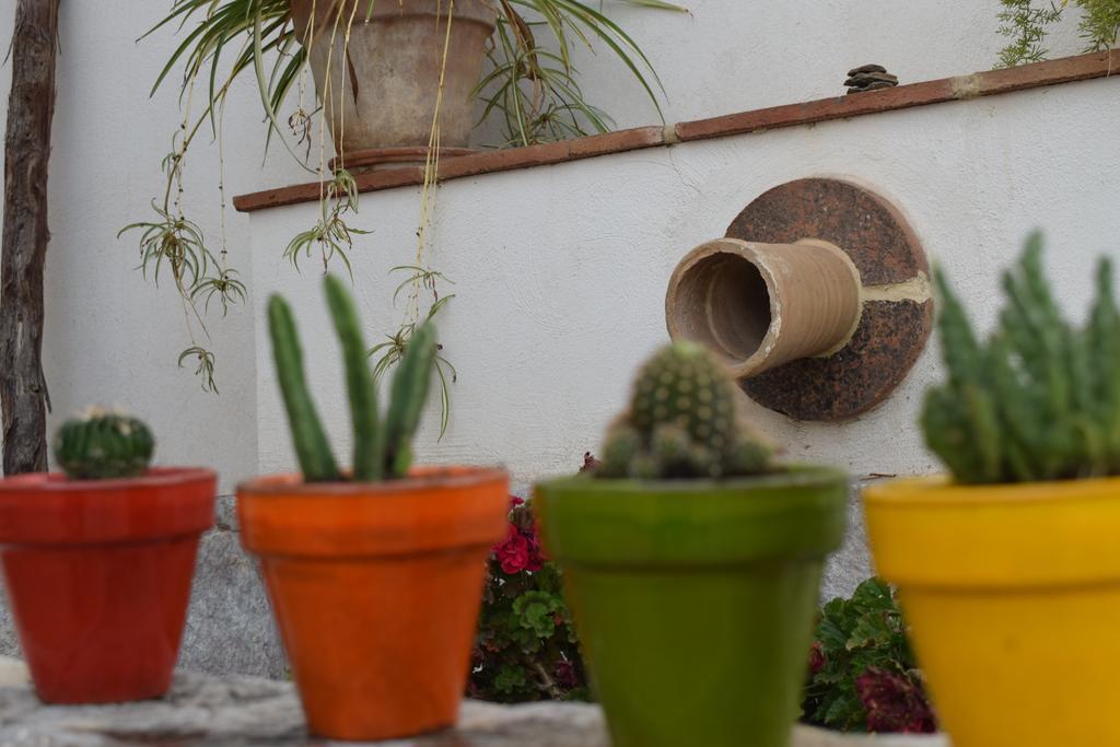 Carmen De Ramilla, Encantadora Guesthouse Con Piscina Soleada Granada Exterior photo