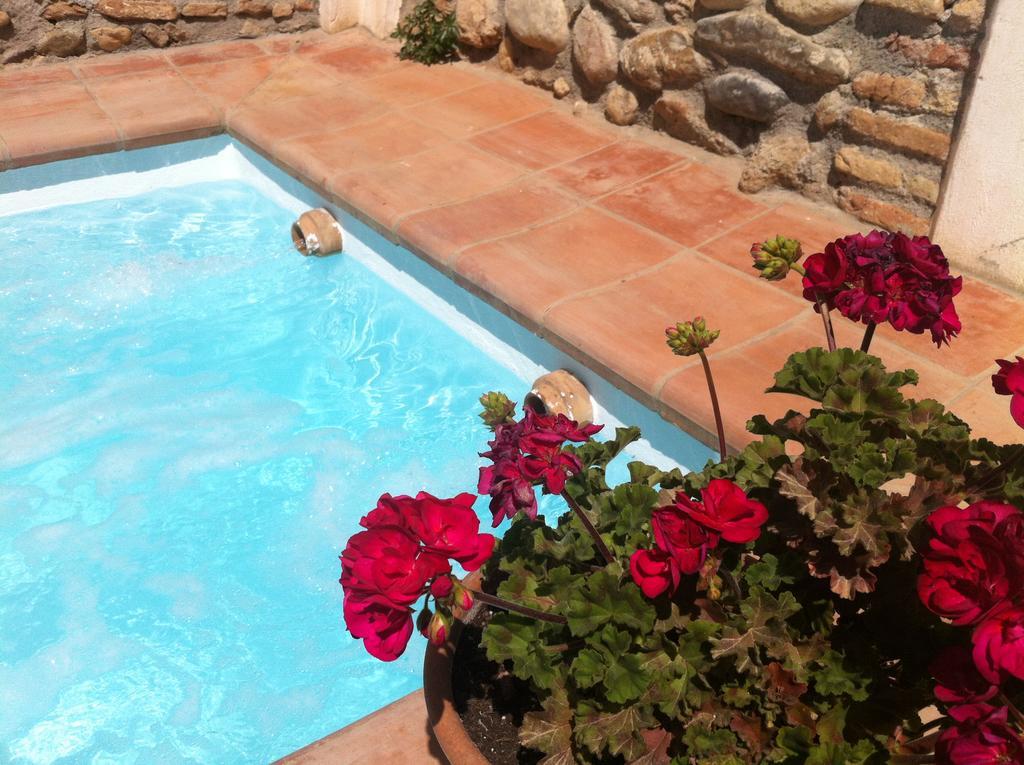 Carmen De Ramilla, Encantadora Guesthouse Con Piscina Soleada Granada Exterior photo